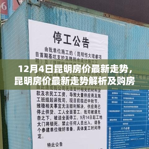 昆明房?jī)r(jià)最新走勢(shì)解析，初學(xué)者與進(jìn)階用戶的購(gòu)房指南（12月4日更新）