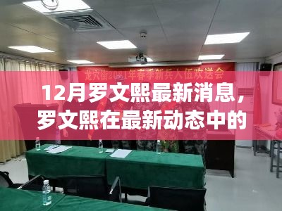 羅文熙最新動態(tài)揭秘，深度解讀與觀點(diǎn)闡述