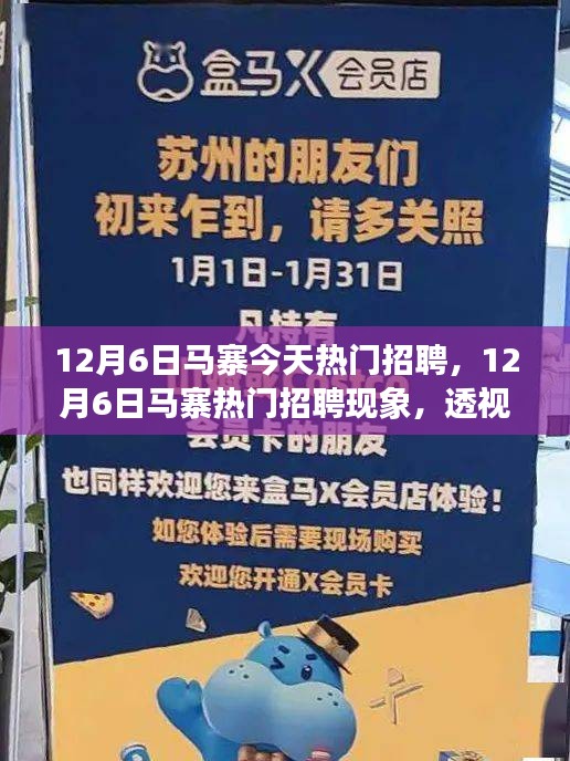 12月6日馬寨熱門招聘現(xiàn)象深度解析，利弊與個(gè)人觀點(diǎn)透視