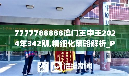 7777788888澳門王中王2024年342期,精細化策略解析_Prestige5.319