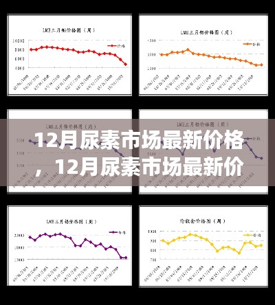 多方觀點(diǎn)碰撞與個人立場，12月尿素市場最新價格及走勢分析