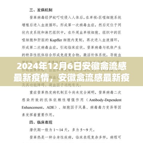 深度觀察，安徽禽流感最新疫情背景、進(jìn)展與影響分析（2024年12月6日）