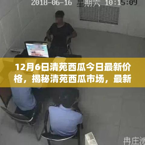 清苑西瓜最新價格動態(tài)及市場分析，揭秘市場趨勢（以12月6日數(shù)據(jù)為例）