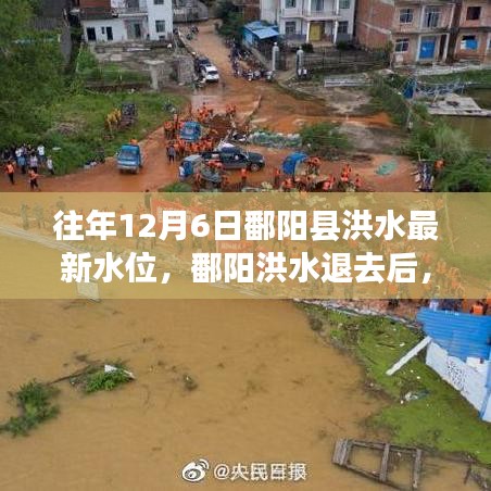 追尋內(nèi)心平靜的洪水退去之旅，鄱陽(yáng)洪水最新水位報(bào)告