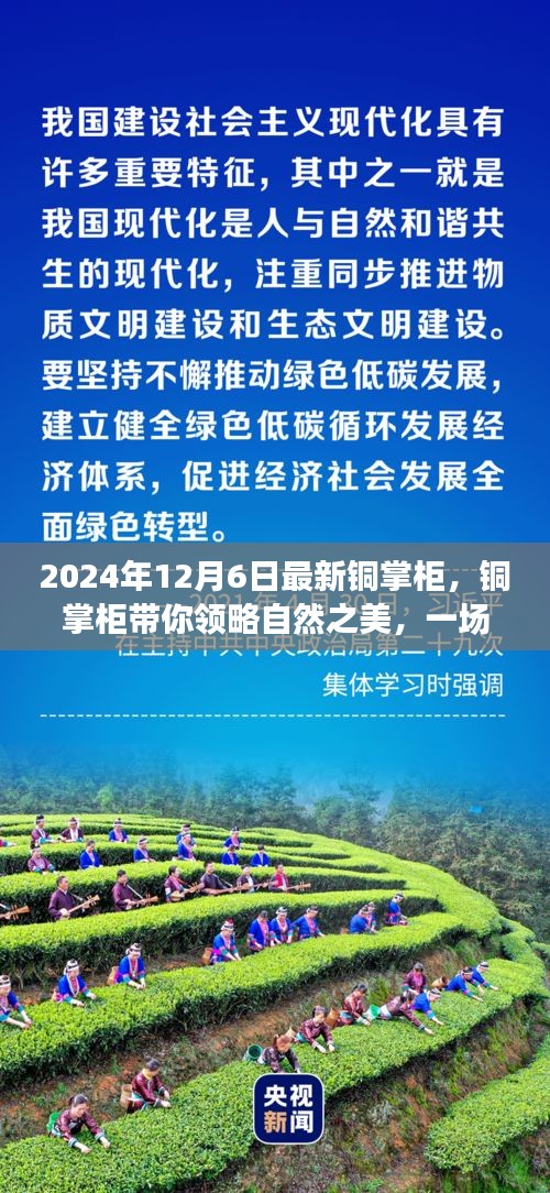 銅掌柜帶你領(lǐng)略自然之美，一場尋找內(nèi)心平靜的奇妙旅程（最新資訊）