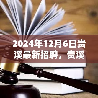 貴溪最新招聘平臺(tái)深度解析，特性、體驗(yàn)、競(jìng)品對(duì)比及用戶群體分析（2024年12月）