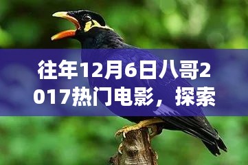 八哥帶你探索熱門電影與自然美景，找回內(nèi)心的平靜與喜悅之旅
