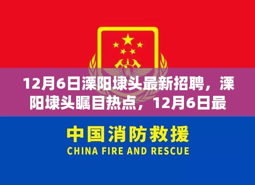 12月6日溧陽(yáng)埭頭最新招聘信息揭秘，矚目熱點(diǎn)崗位一網(wǎng)打盡