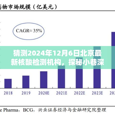 探秘北京隱藏版核酸檢測機構(gòu)，2024年12月6日最新核酸檢測寶藏揭秘