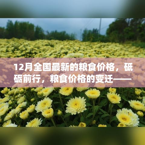 砥礪前行見證變遷，12月全國最新糧食價格及其背后的勵志故事。