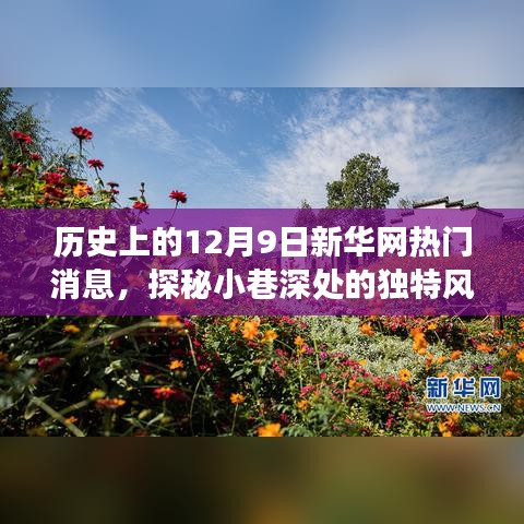 探秘小巷深處的獨特風味，歷史上的十二月九日新華網(wǎng)熱門消息深度解析