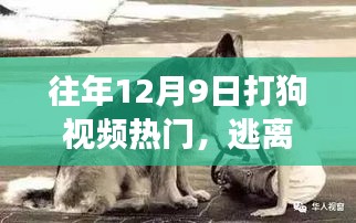探索自然美景與狗同行，尋找內(nèi)心的寧靜之旅