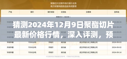 獨家解析，預測與深入評測2024年12月9日聚酯切片最新價格行情及市場洞察