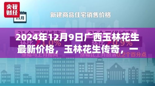 廣西玉林花生最新價(jià)格與傳奇故事，一場(chǎng)友情與陪伴的美味之旅