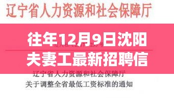 沈陽(yáng)夫妻工最新招聘信息獲取攻略，高效尋找工作機(jī)會(huì)的指南