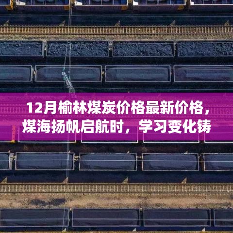 榆林煤炭最新價格動態(tài)，鼓舞人心的學(xué)習(xí)變化與成就之旅