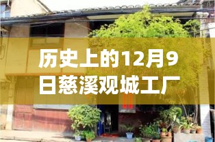 慈溪觀城工廠招聘盛況，舊日崗位與自然美景的探索之旅