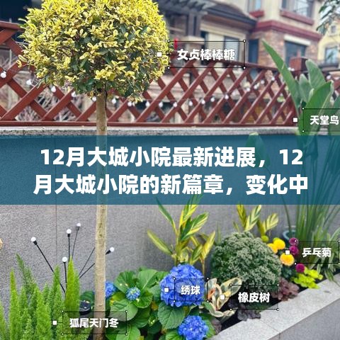 12月大城小院新進(jìn)展，變化中的學(xué)習(xí)，自信與成就感的綻放