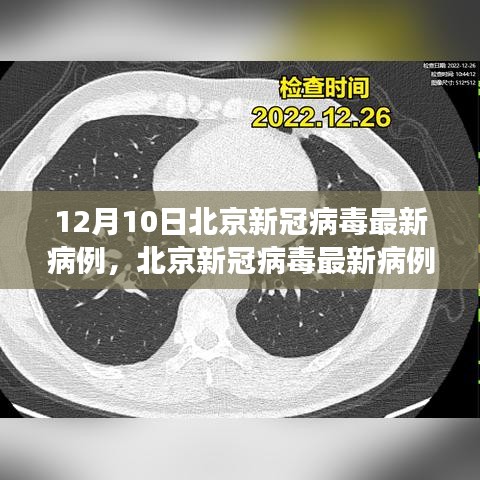 北京新冠病毒最新病例分析報告，深度解讀（截至12月10日）