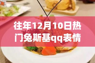 往年12月10日熱門兔斯基QQ表情包，全面評(píng)測(cè)與詳細(xì)介紹