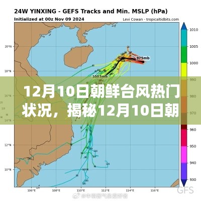 揭秘，12月10日朝鮮臺(tái)風(fēng)熱門(mén)狀況深度解析與三大要點(diǎn)探討