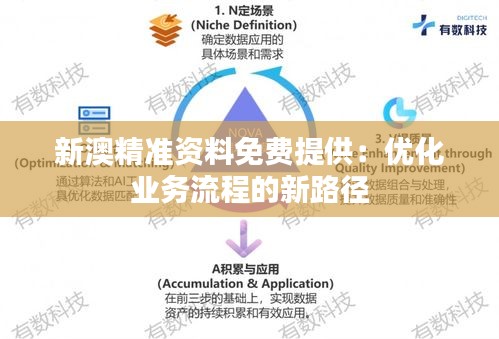 新澳精準資料免費提供：優(yōu)化業(yè)務流程的新路徑