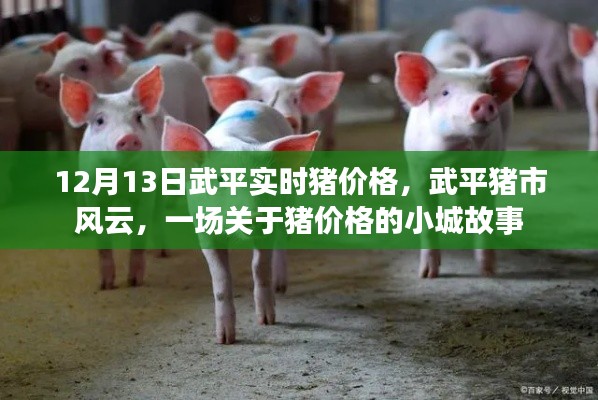武平豬市風(fēng)云，小城故事中的實(shí)時(shí)豬價(jià)格揭秘