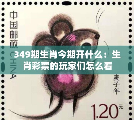 349期生肖今期開什么：生肖彩票的玩家們怎么看