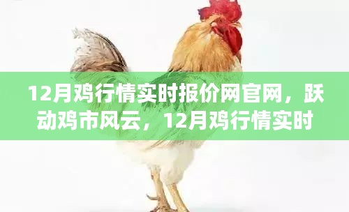 躍動雞市風(fēng)云，12月雞行情實(shí)時報價網(wǎng)官網(wǎng)引領(lǐng)成功之路，行情盡在掌握