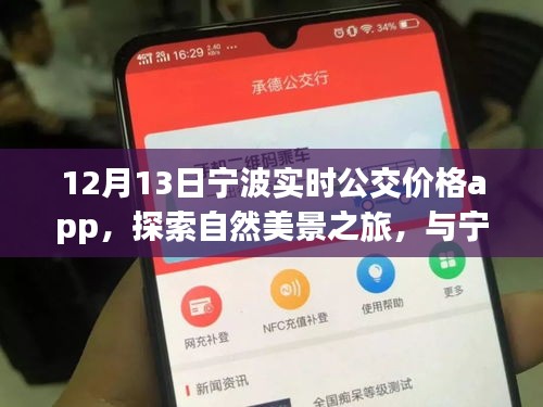 寧波實(shí)時(shí)公交價(jià)格app，探索自然美景與內(nèi)心寧?kù)o之旅