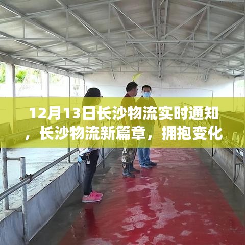 長(zhǎng)沙物流新篇章，擁抱變化，共舞奇跡