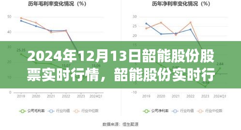 韶能股份實時行情解析，深度洞察股市動態(tài)，洞悉未來趨勢