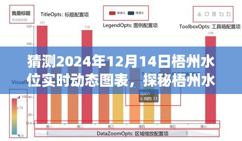 梧州水位實時動態(tài)圖表預(yù)測與特色小店探秘之旅，探秘梧州水位之謎與隱藏小巷的特色美食體驗