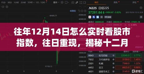 揭秘十二月十四日股市指數(shù)的實(shí)時(shí)觀察之旅，歷史數(shù)據(jù)與當(dāng)日重現(xiàn)分析