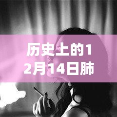 歷史上的十二月十四日，肺炎動態(tài)壁紙與動漫壁紙店的探秘之旅