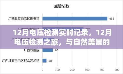 12月電壓檢測之旅，實時記錄與自然美景的交融