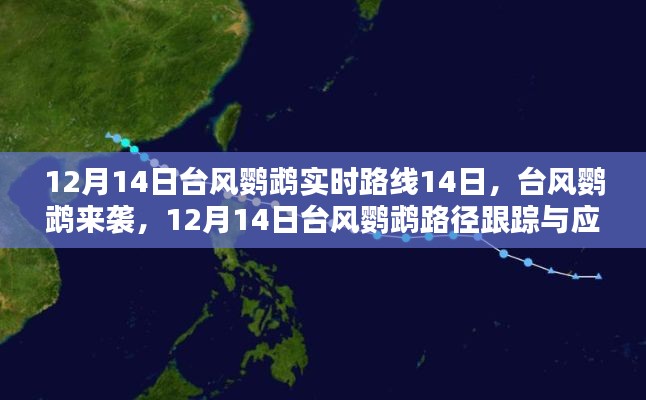 臺(tái)風(fēng)鸚鵡來襲，應(yīng)對(duì)指南與實(shí)時(shí)路徑跟蹤（初學(xué)者與進(jìn)階用戶版）