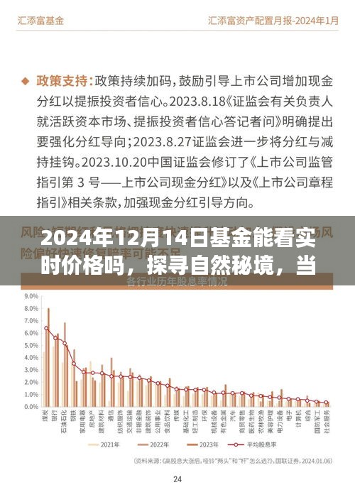 探尋自然秘境與基金實(shí)時(shí)價(jià)格之旅，一場心靈與財(cái)富的奇妙交融
