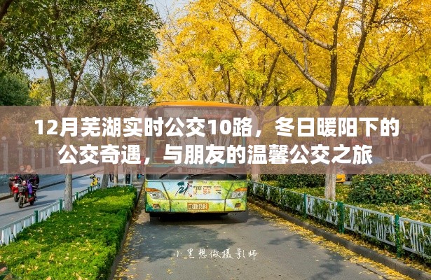 冬日暖陽下的溫馨公交之旅，蕪湖實時公交10路之旅