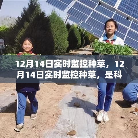 科技賦能還是過度干預(yù)？種菜實(shí)時(shí)監(jiān)控引發(fā)爭議。