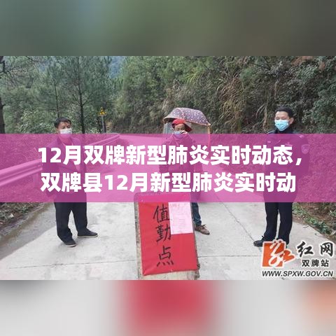 雙牌縣十二月新型肺炎實時動態(tài)概覽，背景、進展與影響分析