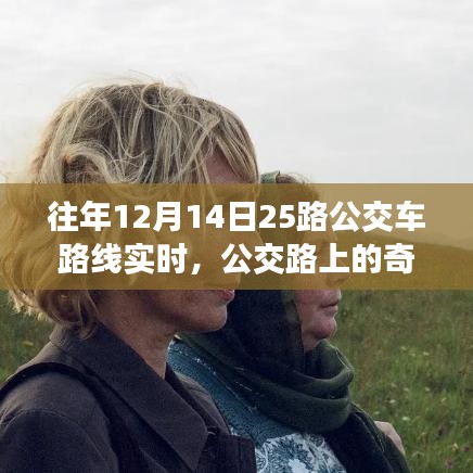 十二月十五日公交之旅，路上的奇遇與溫情紐帶紀(jì)實(shí)