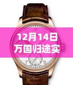 12月14日萬國(guó)歸途實(shí)時(shí)票房深度解析，表現(xiàn)、特性、體驗(yàn)、競(jìng)品對(duì)比及用戶群體全面剖析