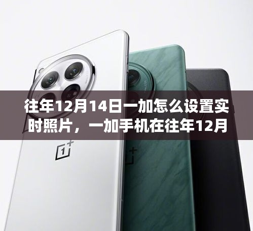一加手機(jī)往年12月14日實(shí)時(shí)照片設(shè)置功能深度解析與評(píng)測(cè)