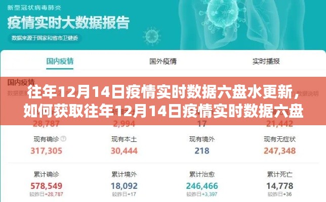 往年12月14日六盤水疫情實時數(shù)據(jù)更新指南，獲取步驟詳解
