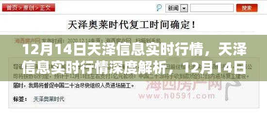 天澤信息實時行情解析，深度剖析與特殊篇章（12月14日）