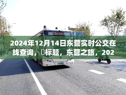 東營公交實(shí)時(shí)查詢系統(tǒng)，探尋心靈靜謐角落的公交之旅