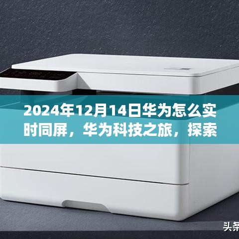 華為科技之旅，實時同屏探索自然美景的寧靜之旅（2024年12月14日）