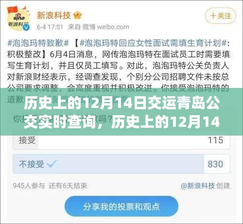 歷史上的12月14日，青島公交實時查詢系統(tǒng)的變遷與影響