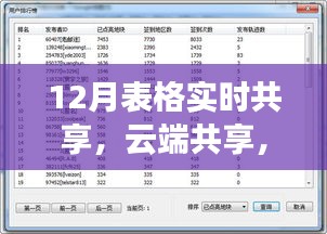 揭秘云端共享科技產(chǎn)品，十二月實(shí)時(shí)表格共享重塑工作效率與生活品質(zhì)！